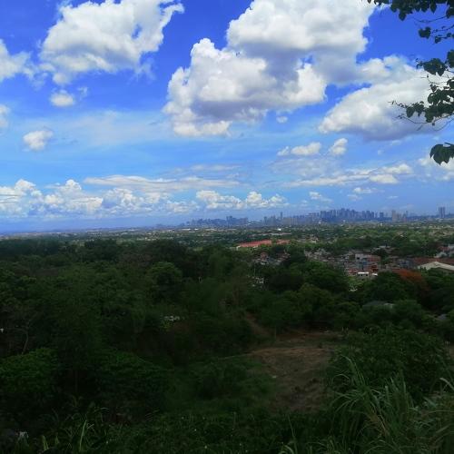Photo #4655892