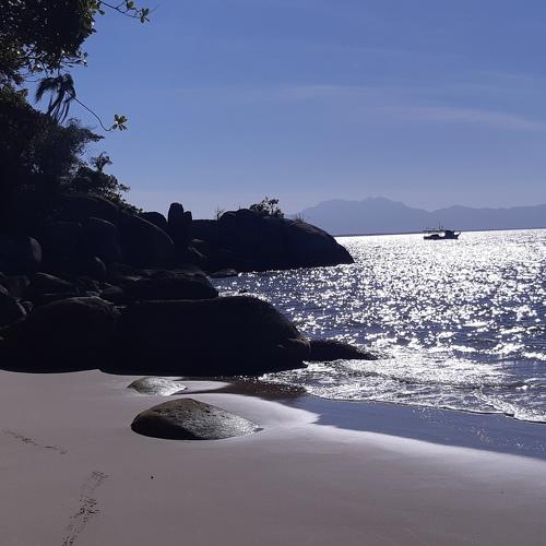 Photo #4655916