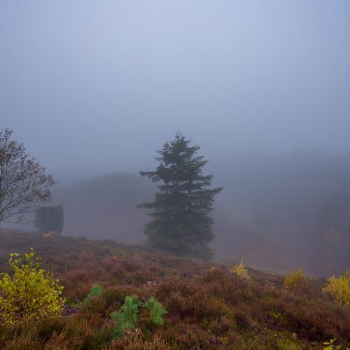 Photo #4655928