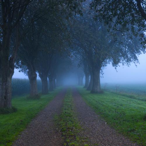 Photo #4655940