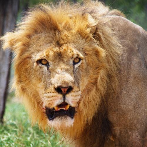 Photo #4655956
