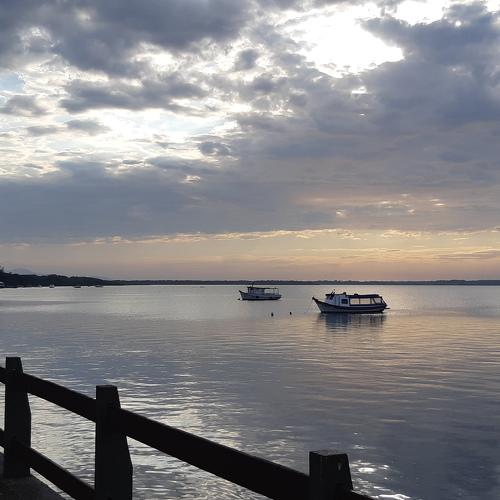 Photo #4655963