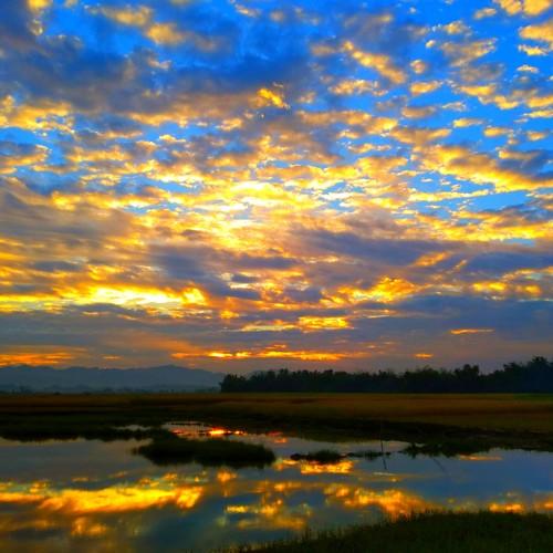 Photo #4656009