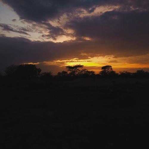Photo #4656237