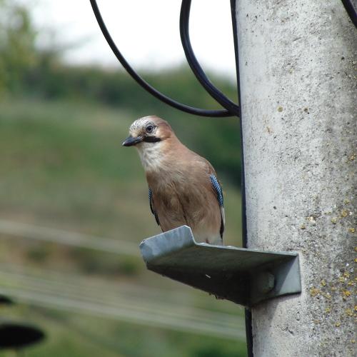 Photo #4656836