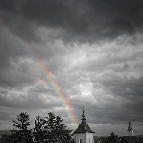 Photo #4656926