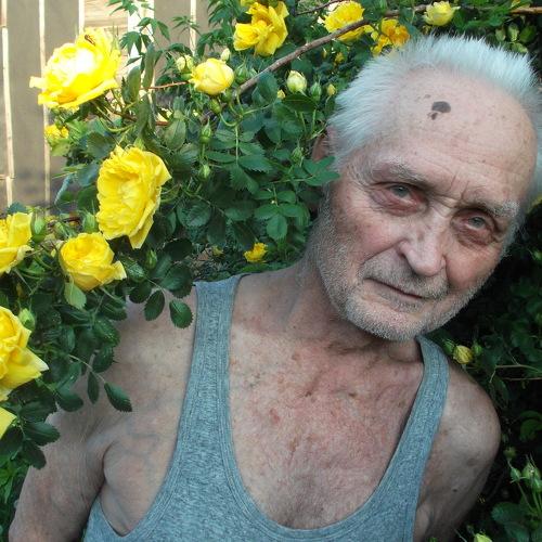 Photo #4656961