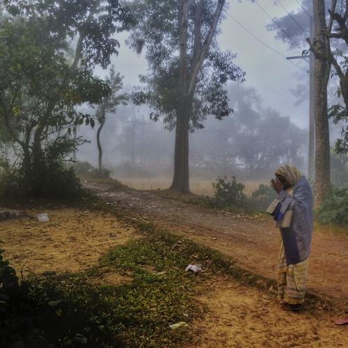Photo #4657322