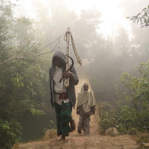 Photo #4657326