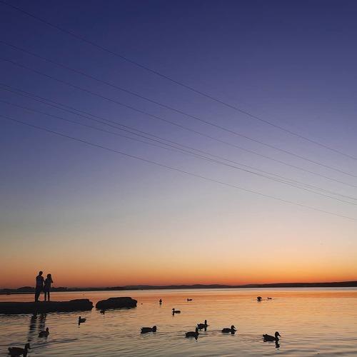 Photo #4657334