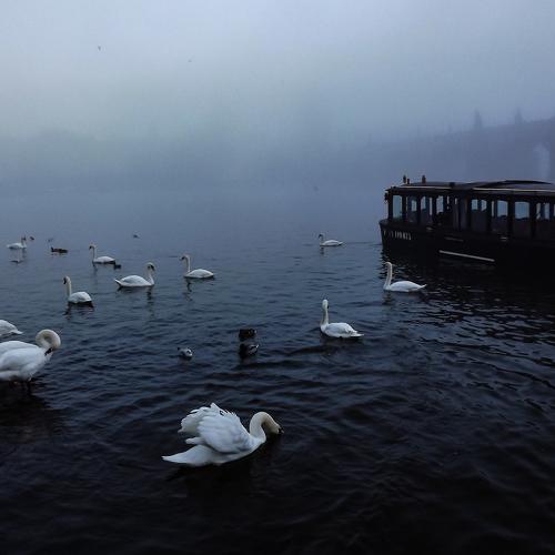Photo #4657686