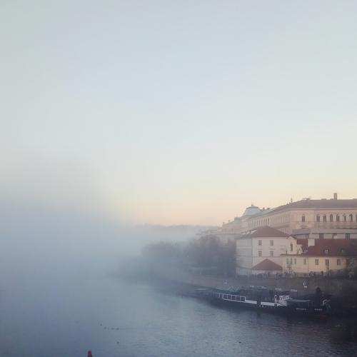 Photo #4657687