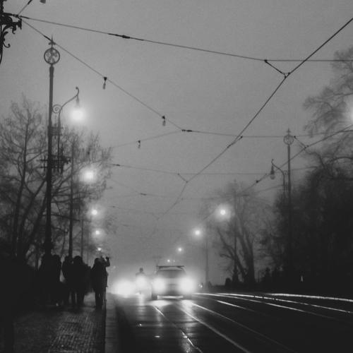 Photo #4657688