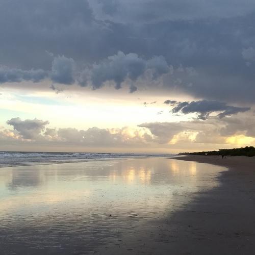 Photo #4657747