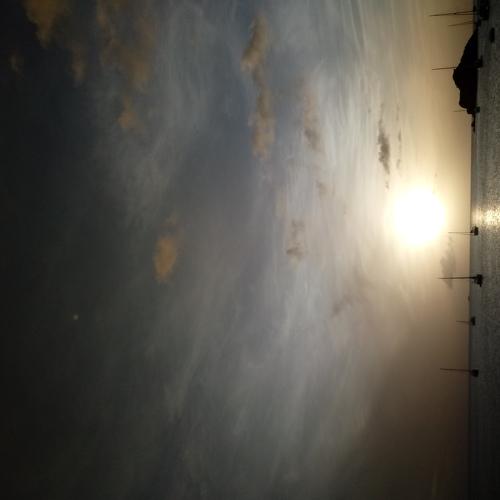 Photo #4658144