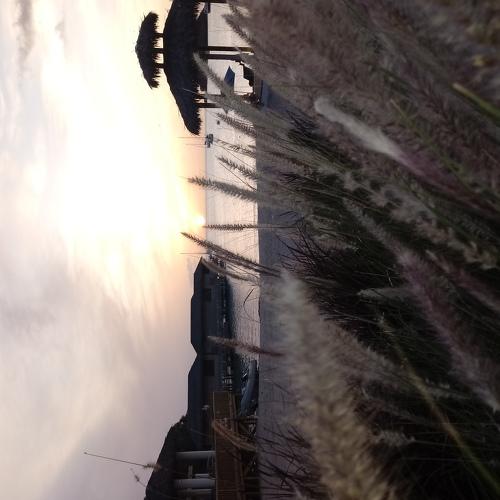 Photo #4658145