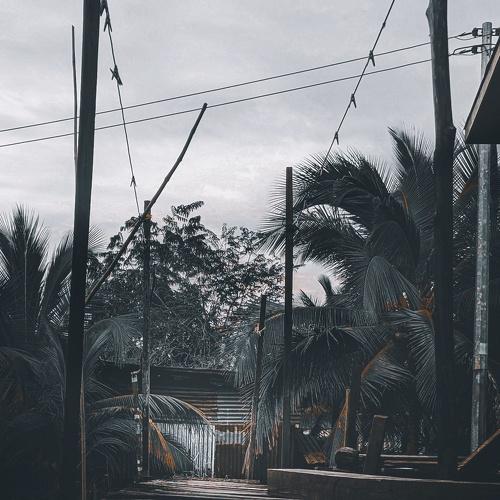 Photo #4658184