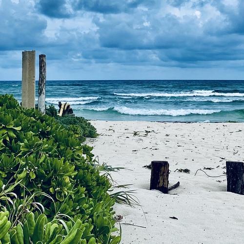 Photo #4658498
