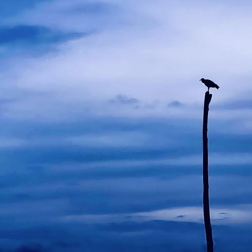 Photo #4658505