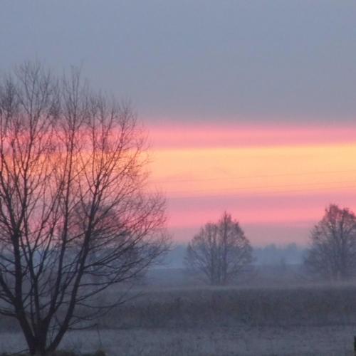Photo #4658722