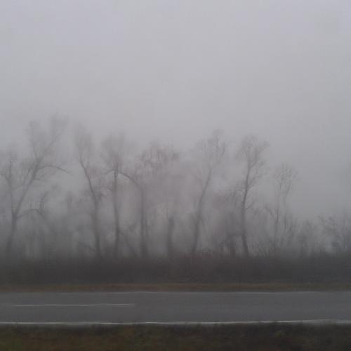 Photo #4658723