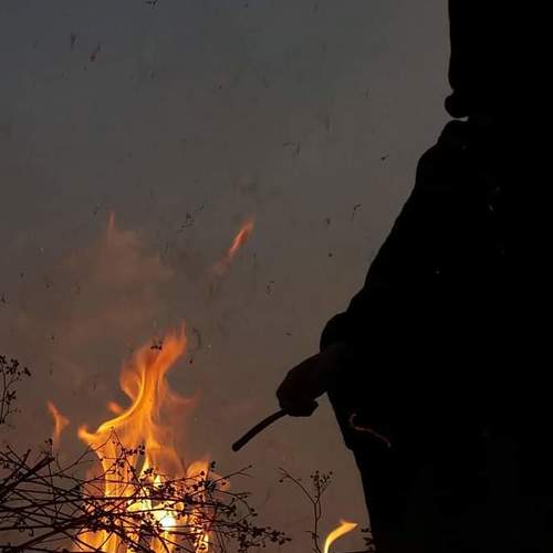 Photo #4658812
