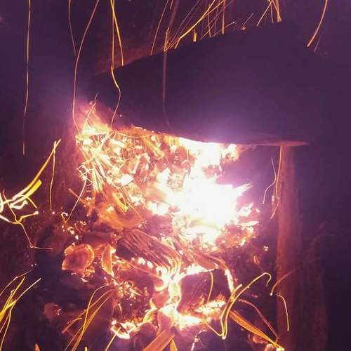 Photo #4658815