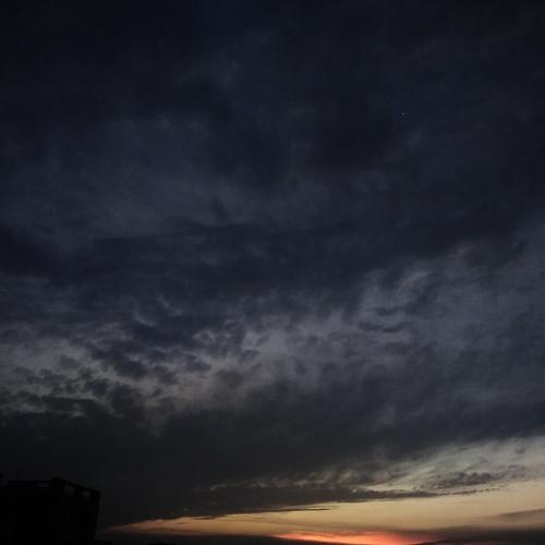 Photo #4658827