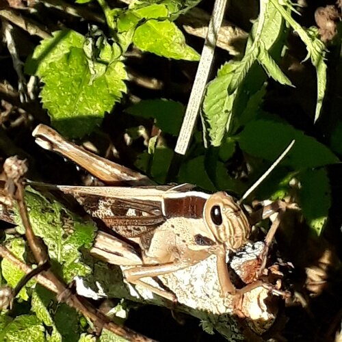 Photo #4658865