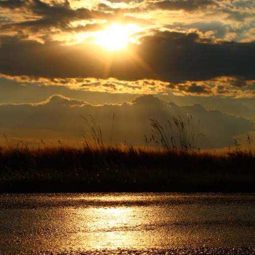 Photo #4658983