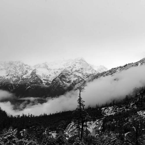 Photo #4659485