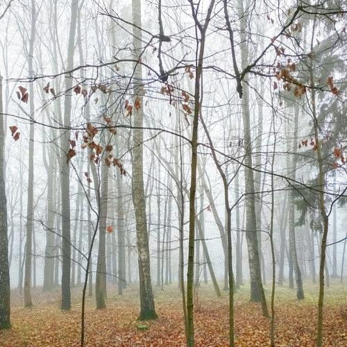 Photo #4659628