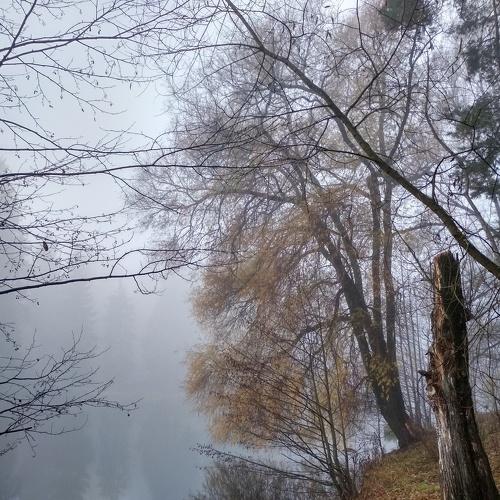 Photo #4659629