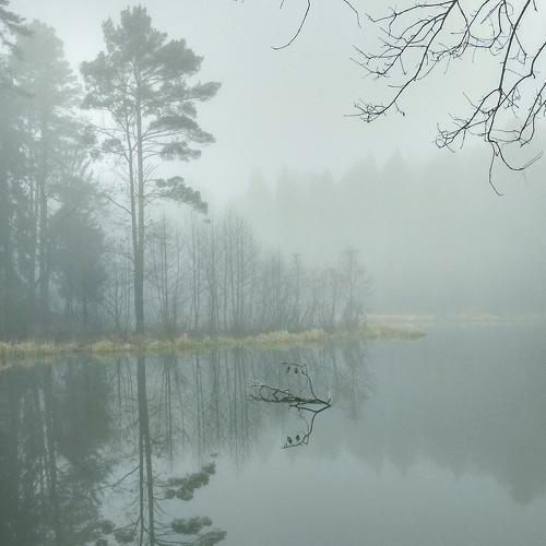 Photo #4659630