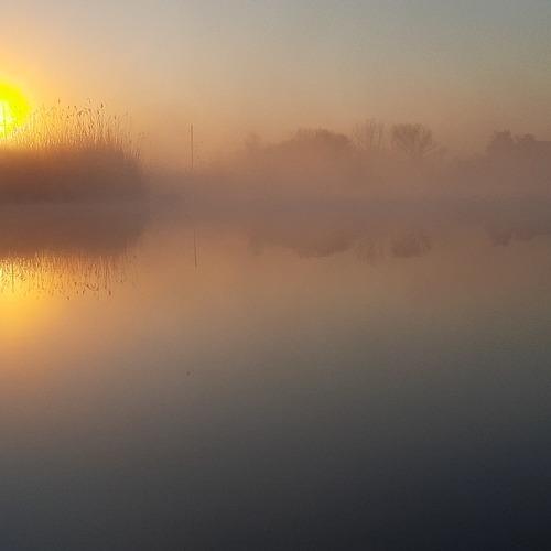 Photo #4659748