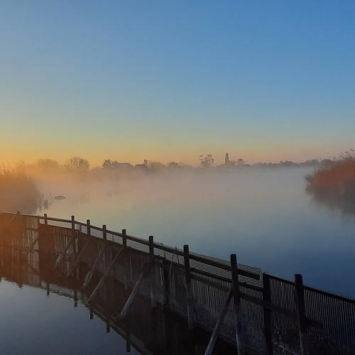 Photo #4659749