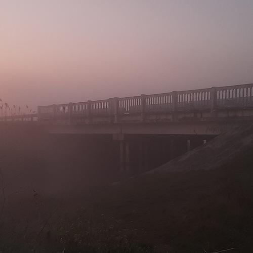 Photo #4659750