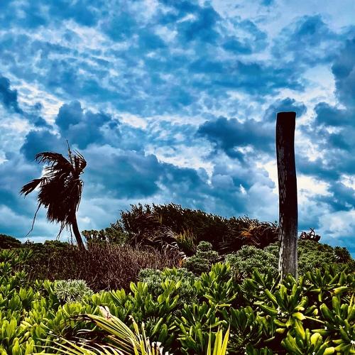Photo #4659863
