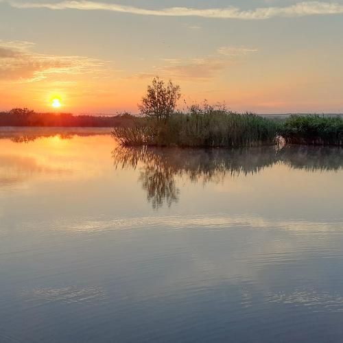 Photo #4659995