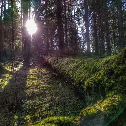 Photo #4660049
