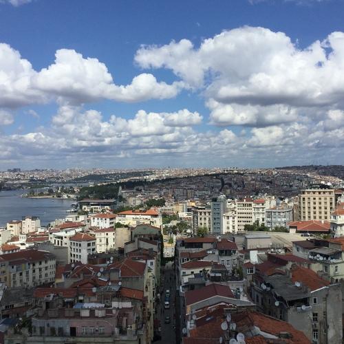 Photo #4660154