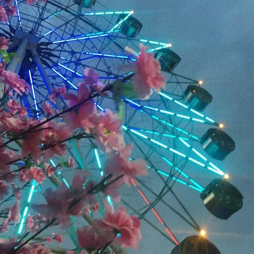 Photo #4660169