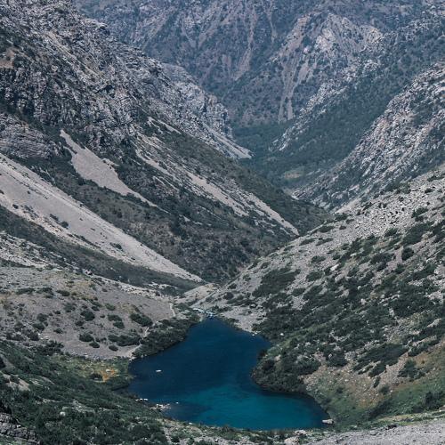 Photo #4660534
