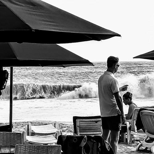 Photo #4661103