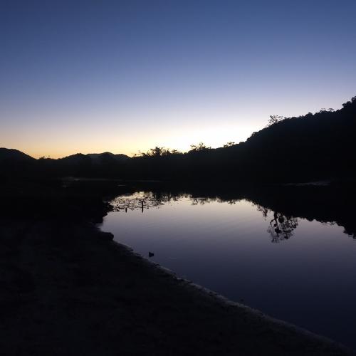 Crepúsculo na Floresta Atlântica