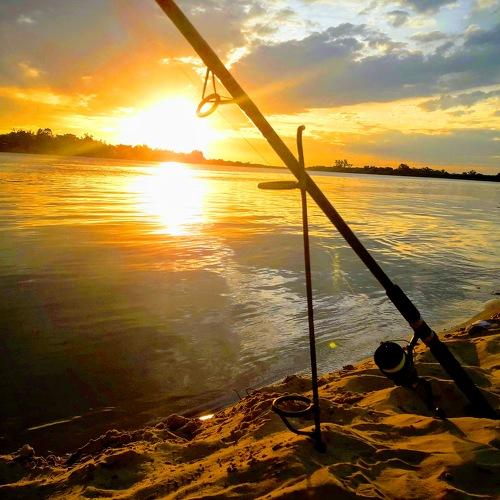Photo #4661548