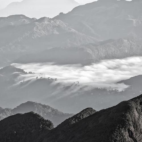 Photo #4661555