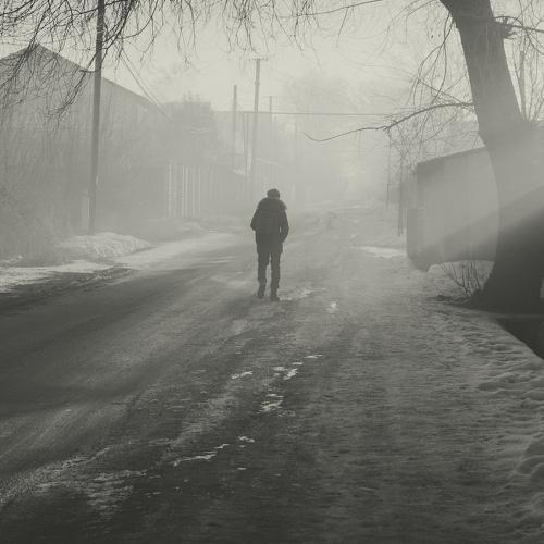 Photo #4662006