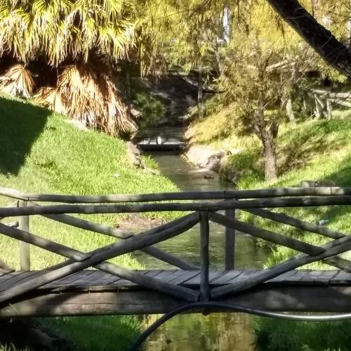 Photo #4662160
