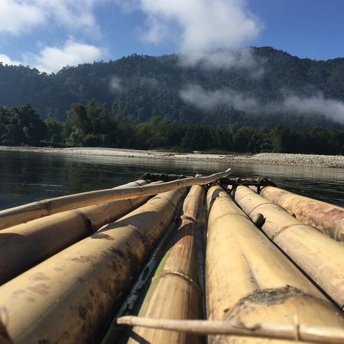 Photo #4662562